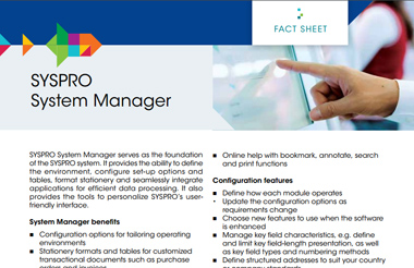 System Manager